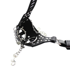 Chainlink Lockdown Chastity Briefs