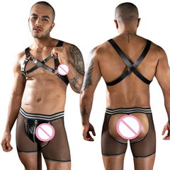 Forbidden Fantasy Harness and Mesh Briefs
