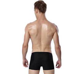 Ice Embrace Transparent Boxer Briefs (4 Pack)