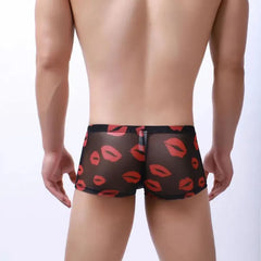 Kiss Me All Over Translucent Mesh Boxer Briefs