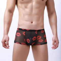 Kiss Me All Over Translucent Mesh Boxer Briefs