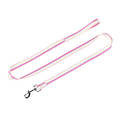 LGBT Pride Nylon Dog Leash