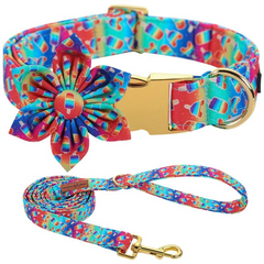 LGBTQ Rainbow Popsicle Dog Collar