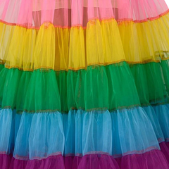 Multicolored Rainbow Tutu Dream