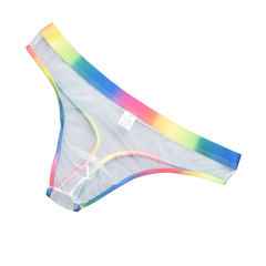 Rainbow Daddy Dreams Briefs