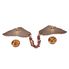 Rainbow Wings Enamel Pin