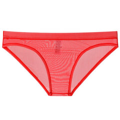 Sheer Mesh Skinny Briefs