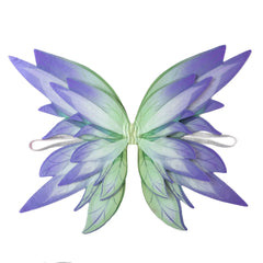 Gradient Fairy Dress-Up Wings