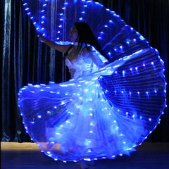 LED Light Up Fairy Wings