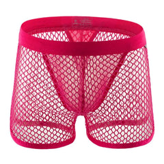 AllureFit Sexy Mesh Boxers Briefs