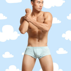 SEOBEAN Heritage Fit Boxer Shorts