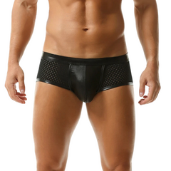 Sassy & Shiny Boxer Briefs