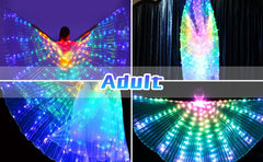 LED Light Up Fairy Wings