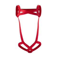 Sexy Men's Full Body Harness