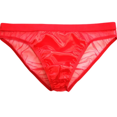 See Me Through Scandalous Mesh Briefs