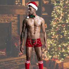 Sexy Gay Santa's Little Helper Costume