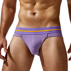 Tauwell Retro Era Briefs