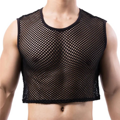 Transparent Fishnet Crop Top