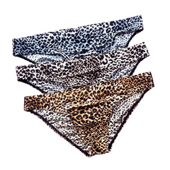Wild Thoughts Fierce Leopard Men’s Briefs