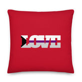 Demisexual Love Pillow