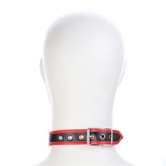BDSM Slave / Puppy Collar - The RainbowBoys