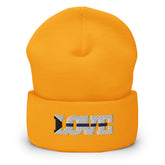 Demisexual Love Cuffed Beanie