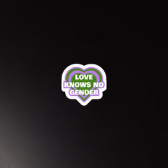 Love Knows No Gender Genderqueer Magnet