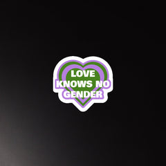 Love Knows No Gender Genderqueer Magnet