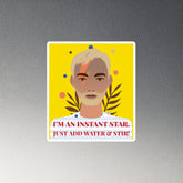 I'm an Instant Star Magnet