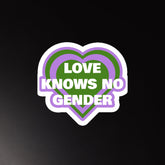 Love Knows No Gender Genderqueer Magnet