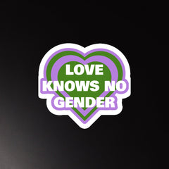 Love Knows No Gender Genderqueer Magnet