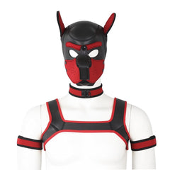 Neoprene Gay Pup Gear Starter Kit - The RainbowBoys