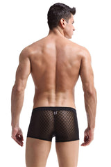 Transparent Mesh Boxers