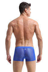 Transparent Mesh Boxers