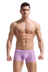 Transparent Mesh Boxers