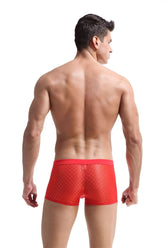 Transparent Mesh Boxers