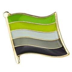 Aromantic Flag Enamel Pin