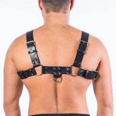 Basic Black Harness