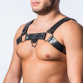 Basic Black Harness