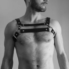 Dual Strap Leather Harness