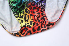 Rainbow Leopard Print Swim Briefs