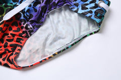 Rainbow Leopard Print Swim Briefs