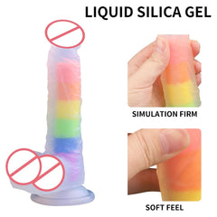 LGBT Pride Silicone Dildo / Sex Toy