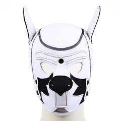 Neoprene Coloured Puppy Hood