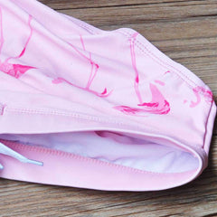 Sexy Flamingo Swim Briefs