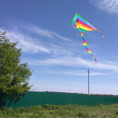Long Tail Rainbow Pride Kite