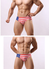 USA Wide Swim Briefs