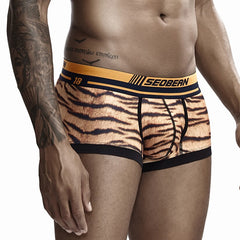 Seobean Tiger Boxers