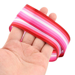 Lesbian Pride Lanyard