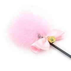 Fem Dom Whipping Apparatus